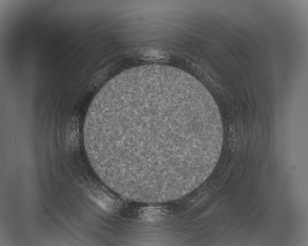 X0000081590320200702121521