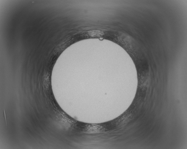 X0000081590321200702121521