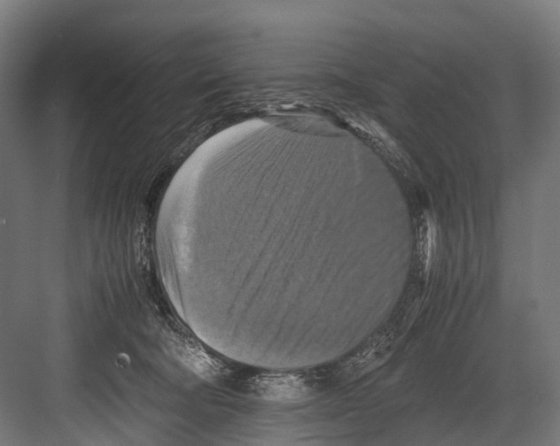 X0000081590322200702121521