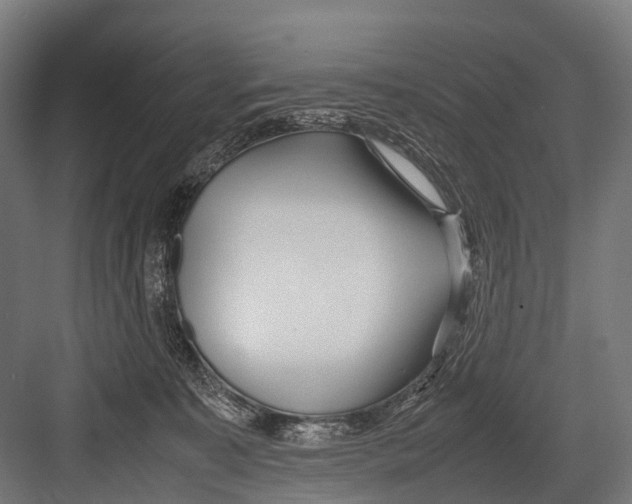 X0000081590323200702121521