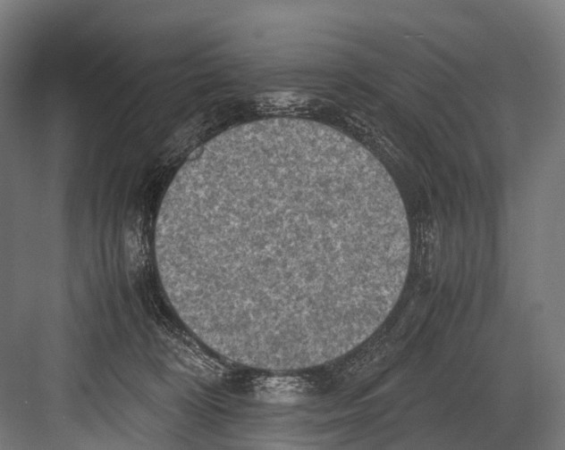 X0000081590324200702121521