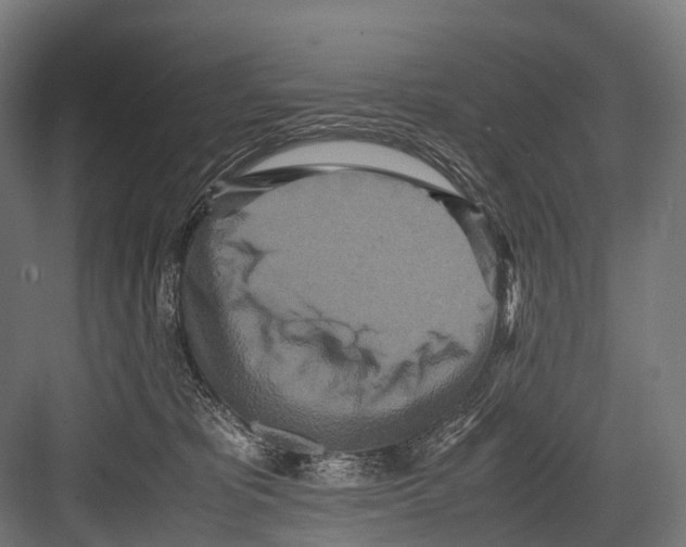 X0000081590325200702121521