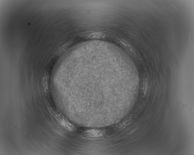 X0000081590326200702121520