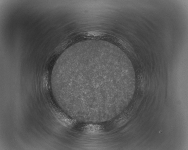 X0000081590328200702121520