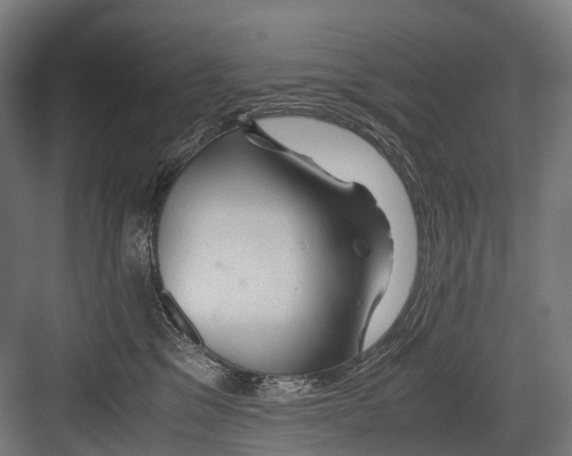 X0000081590329200702121520