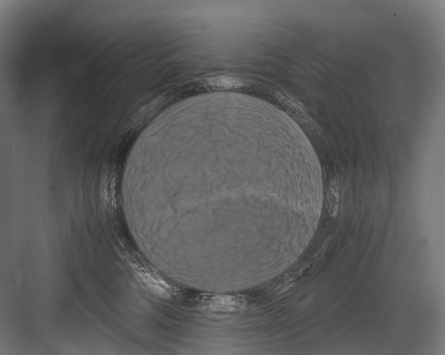 X0000081590330200702121520