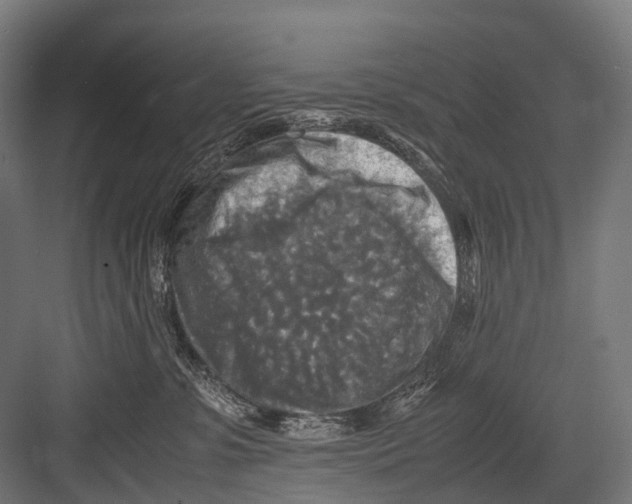 X0000081590331200702121520