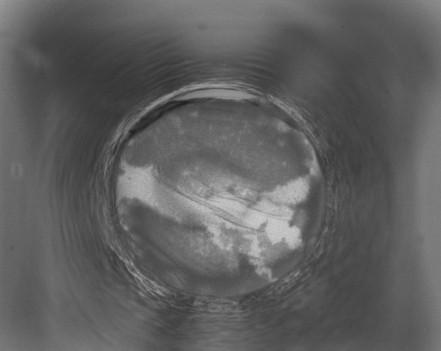 X0000081590337200702121520