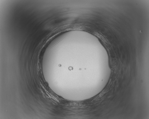 X0000081590338200702121520