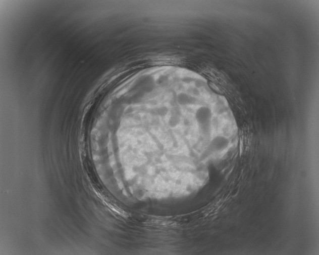 X0000081590339200702121520