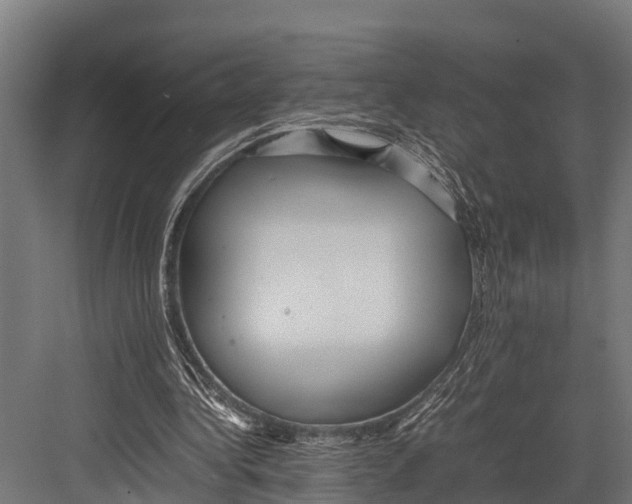 X0000081590340200702121520