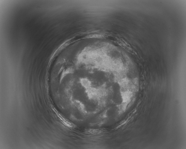 X0000081590341200702121520