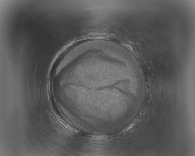 X0000081590342200702121520