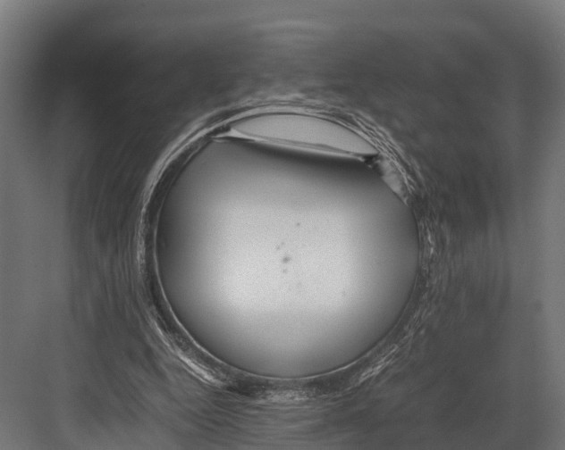 X0000081590344200702121520