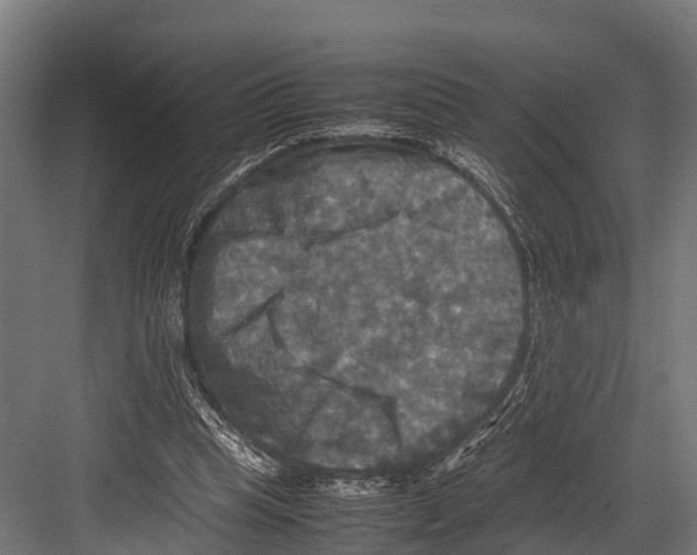 X0000081590345200702121520