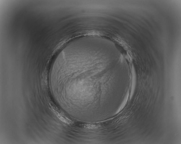 X0000081590347200702121520