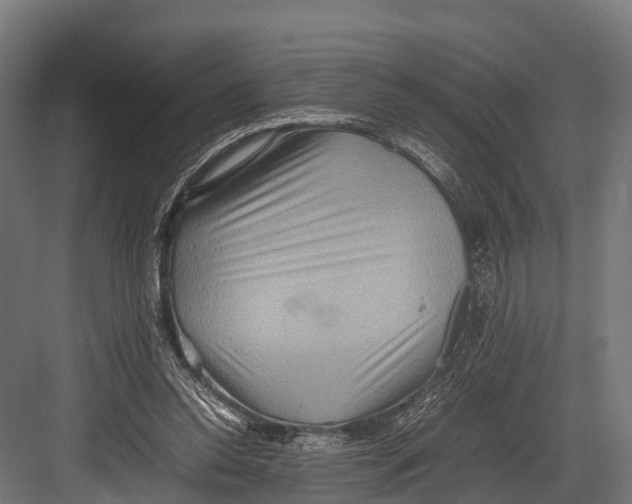 X0000081590350200702121520