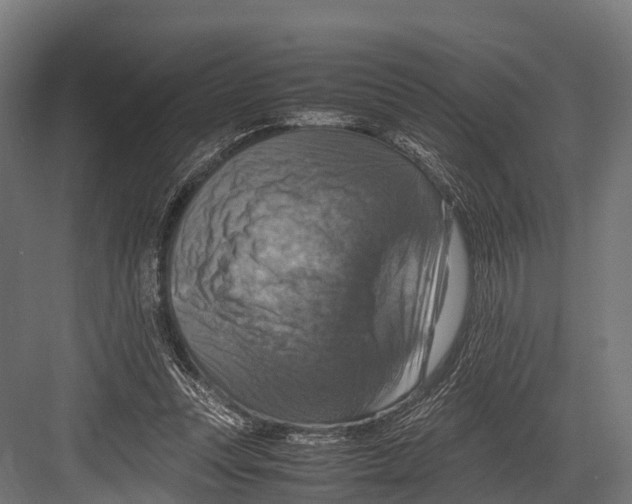 X0000081590351200702121520