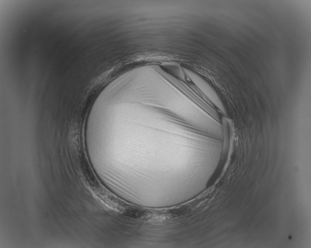 X0000081590352200702121520