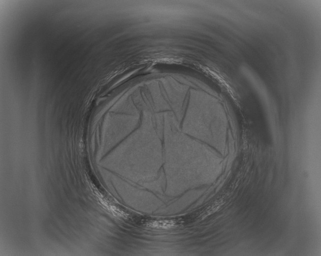 X0000081590353200702121520