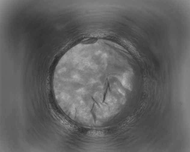 X0000081590354200702121520