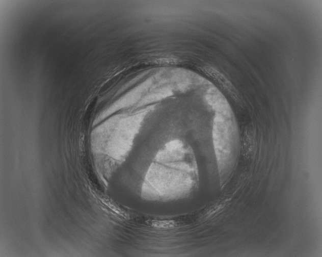 X0000081590355200702121520