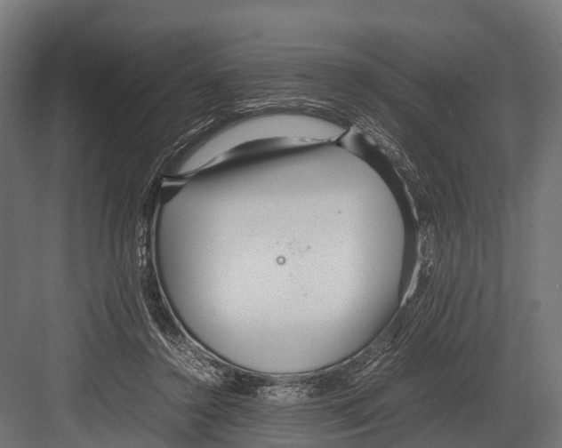 X0000081590356200702121520