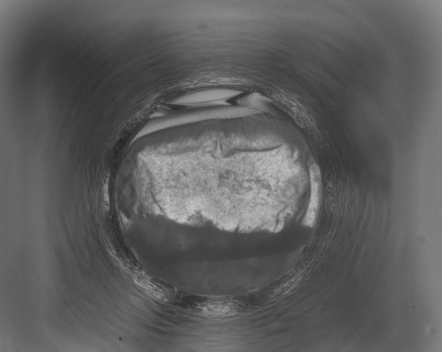 X0000081590358200702121520