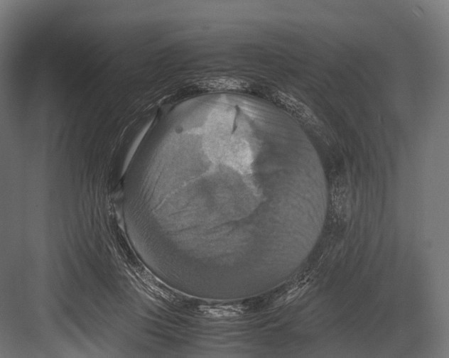 X0000081590359200702121520