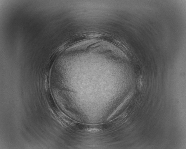 X0000081590360200702121520