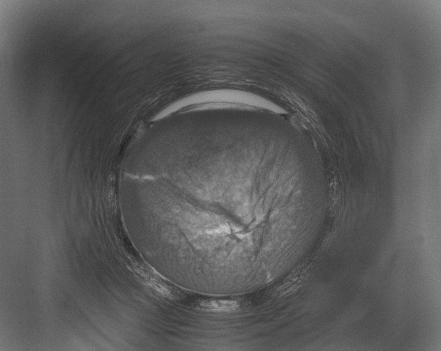 X0000081590361200702121520