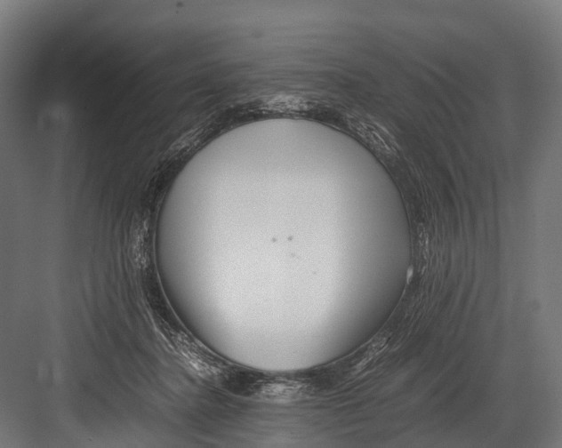 X0000081590364200702121520