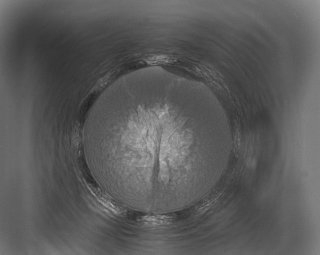 X0000081590367200702121520