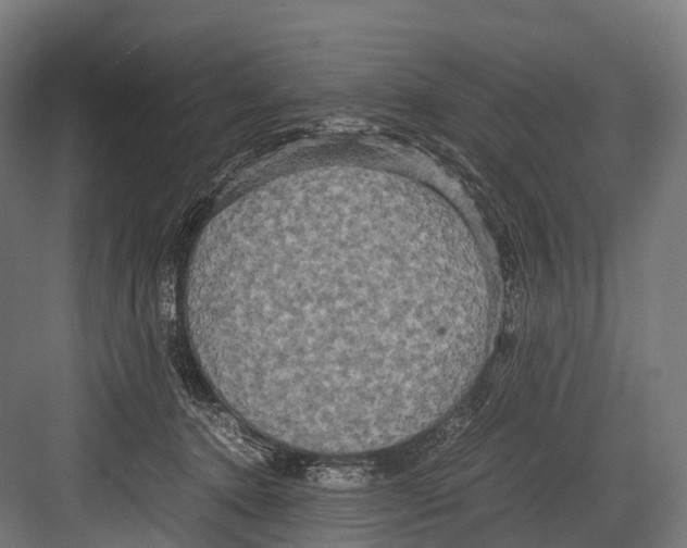 X0000081590368200702121520