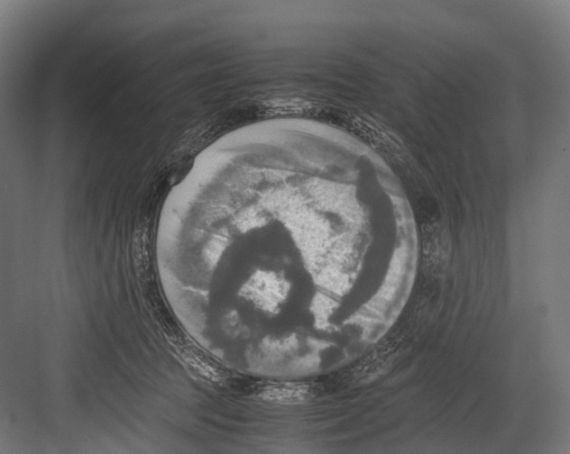 X0000081590369200702121520