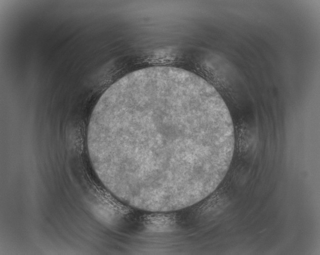 X0000081590370200702121520