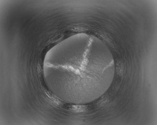 X0000081590371200702121520