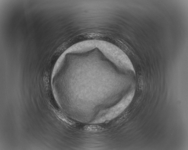 X0000081590372200702121520