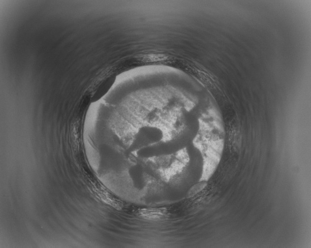 X0000081590373200702121520