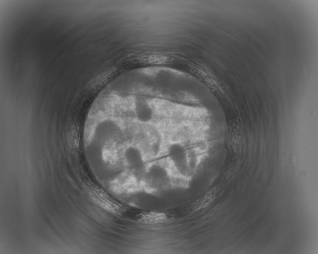 X0000081590374200702121520