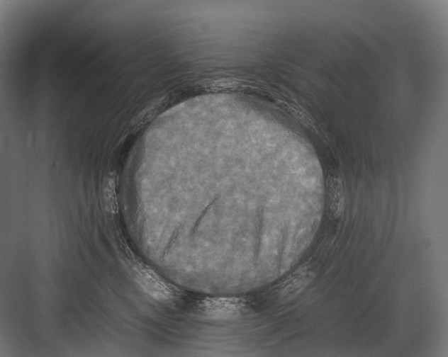 X0000081590378200702121520