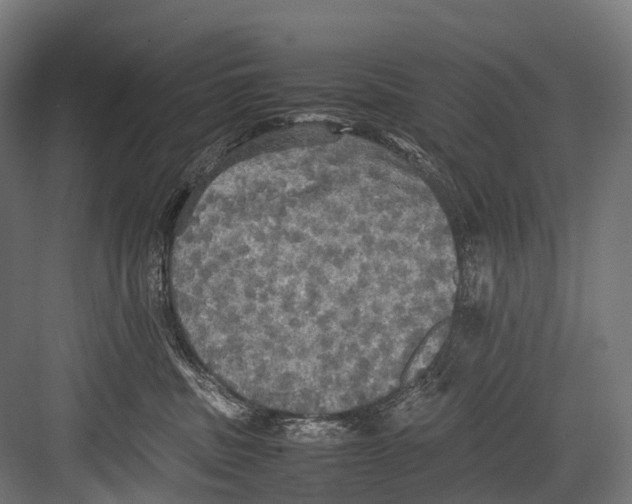 X0000081590379200702121520