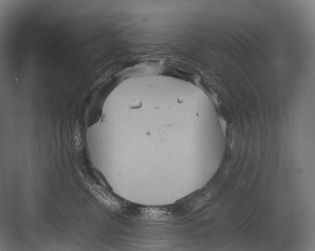 X0000081590380200702121520