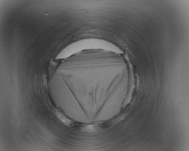 X0000081590382200702121520