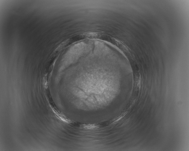 X0000081590383200702121520