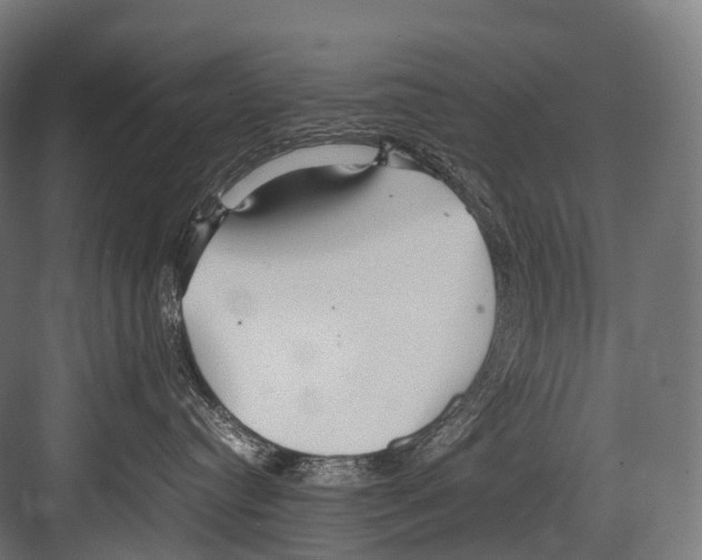 X0000081590384200702121520