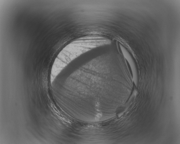 X0000081590386200702121519