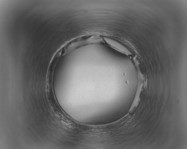 X0000081590388200702121519