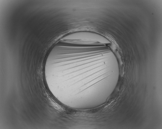 X0000081590389200702121519