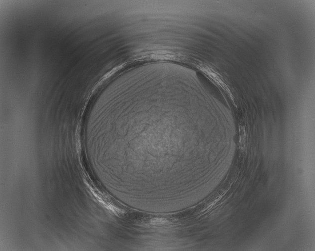 X0000081590390200702121519